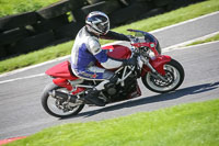 brands-hatch-photographs;brands-no-limits-trackday;cadwell-trackday-photographs;enduro-digital-images;event-digital-images;eventdigitalimages;no-limits-trackdays;peter-wileman-photography;racing-digital-images;trackday-digital-images;trackday-photos